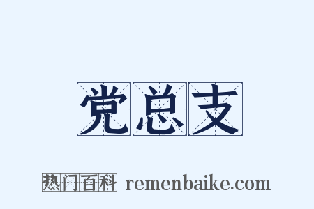 党总支是什么意思的图片